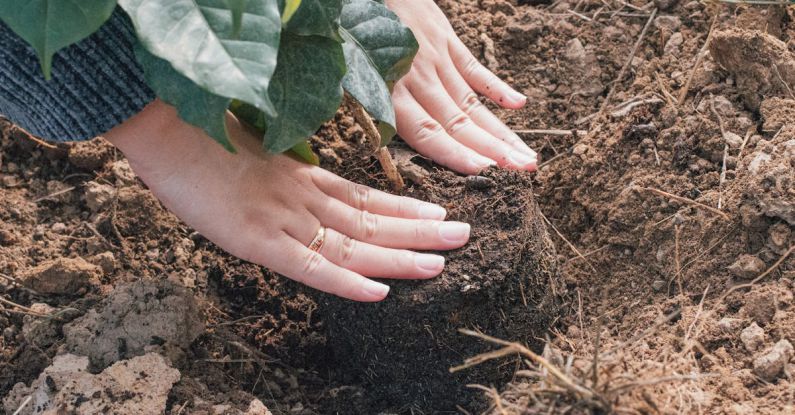 CSR - Coffee Planting